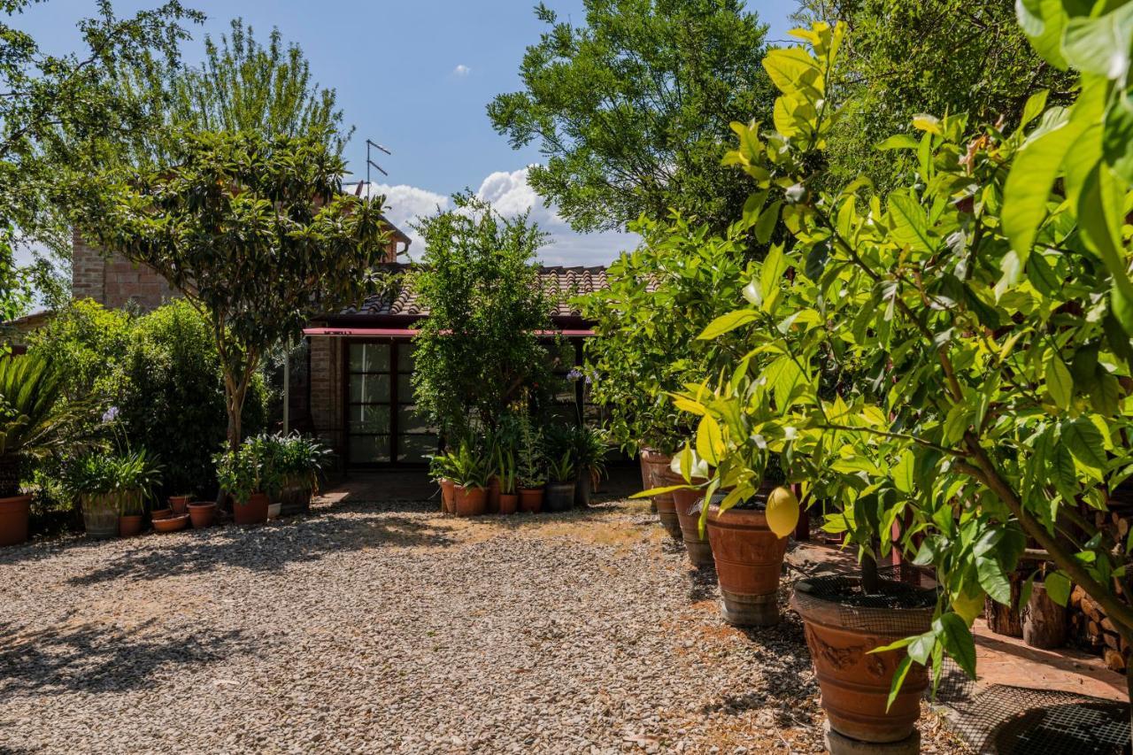 Willa Casa Vignacce Marciano della Chiana Zewnętrze zdjęcie