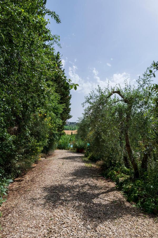 Willa Casa Vignacce Marciano della Chiana Zewnętrze zdjęcie