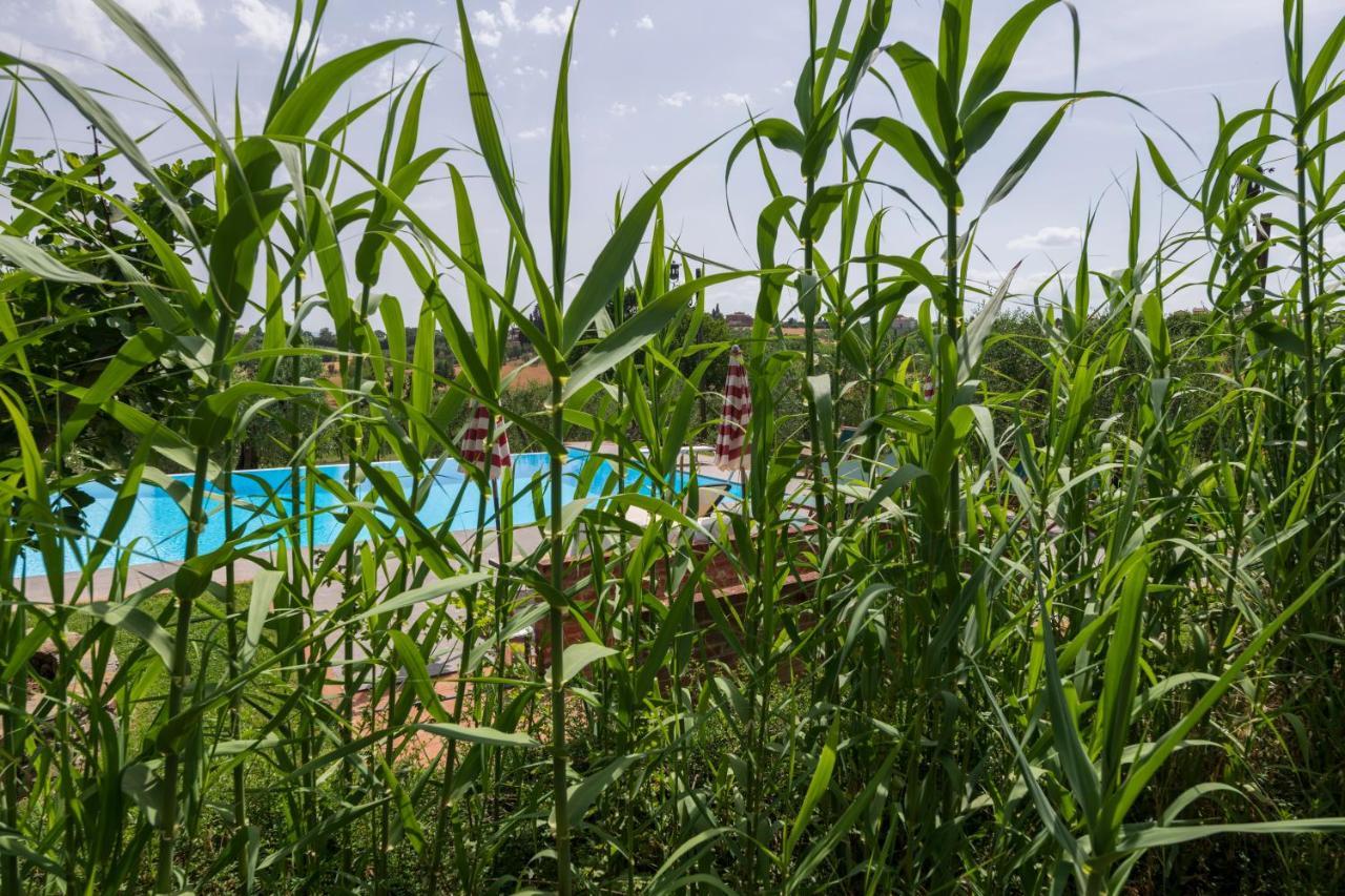 Willa Casa Vignacce Marciano della Chiana Zewnętrze zdjęcie